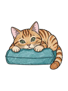 Cat on a Cushion Coloring Page colored with AI in crayon style
